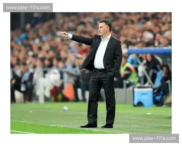 白百合的优雅与黑猫的坚韧：热刺vs桑德兰，一场跨越阶层的灵魂博弈